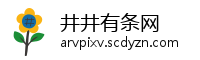 井井有条网